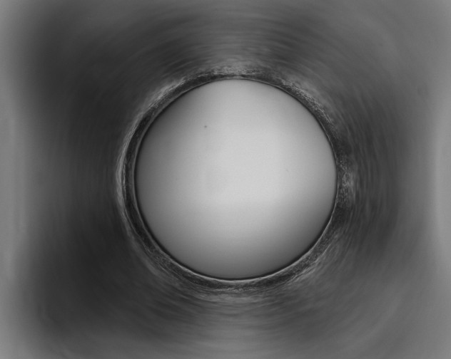 X0000094420678200711080959