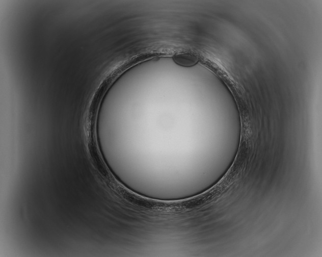 X0000094420679200711080959