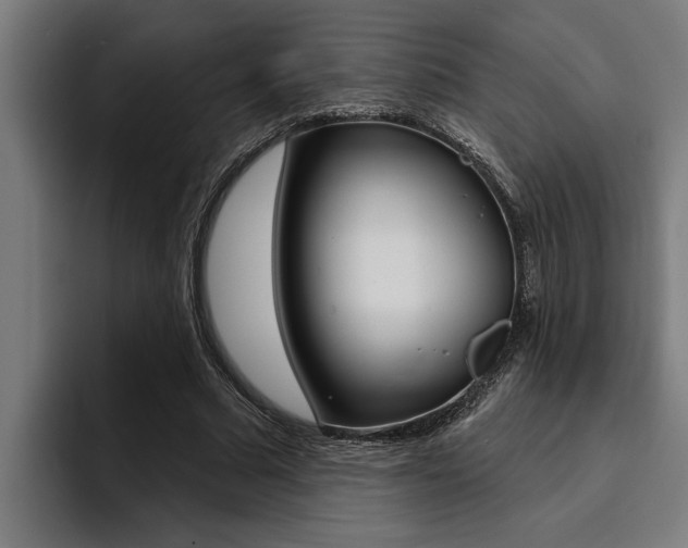 X0000094420681200711080959