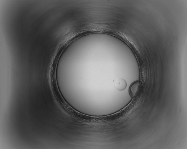 X0000094420682200711080959