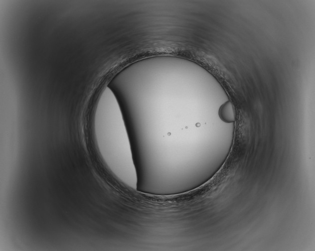 X0000094420683200711080959