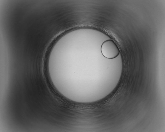 X0000094420684200711080959