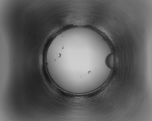 X0000094420686200711080959