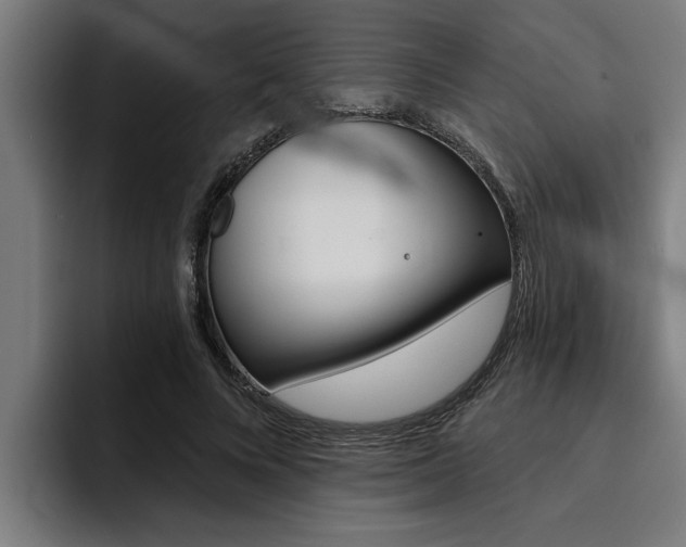 X0000094420688200711080959