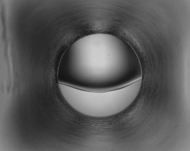 X0000094420689200711080959
