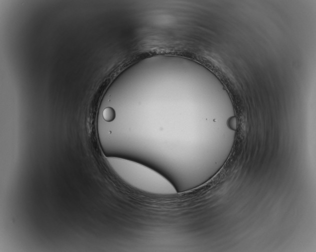 X0000094420691200711080959