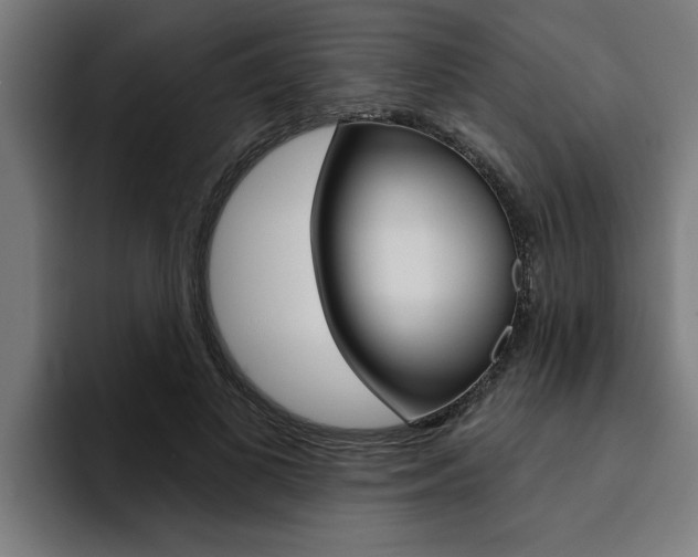 X0000094420693200711080959