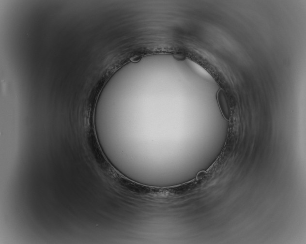 X0000094420695200711080959