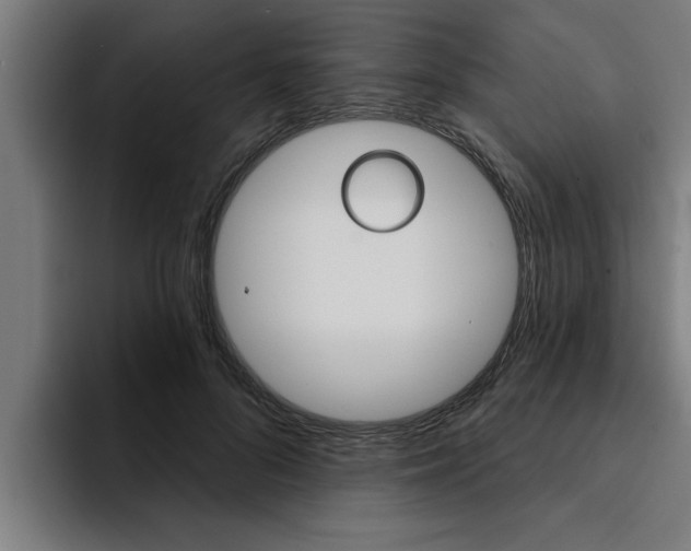 X0000094420696200711080959