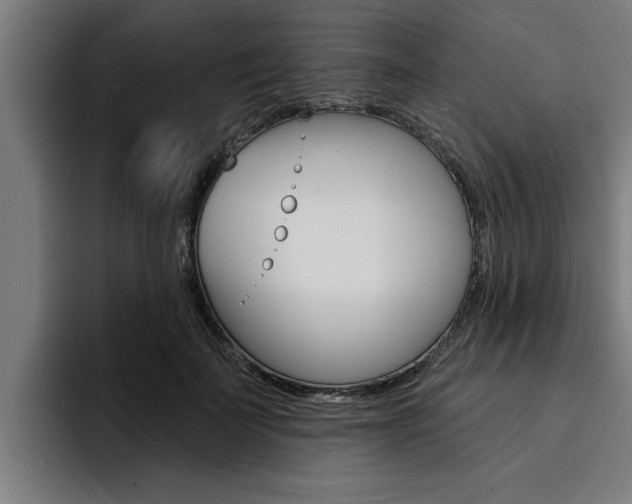 X0000094420699200711080959