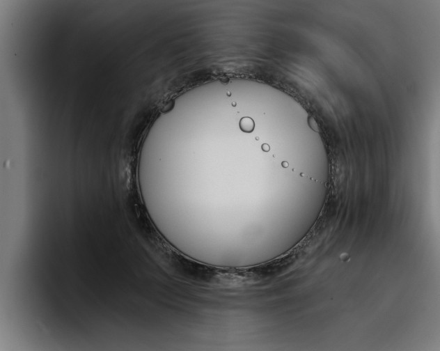 X0000094420703200711080959