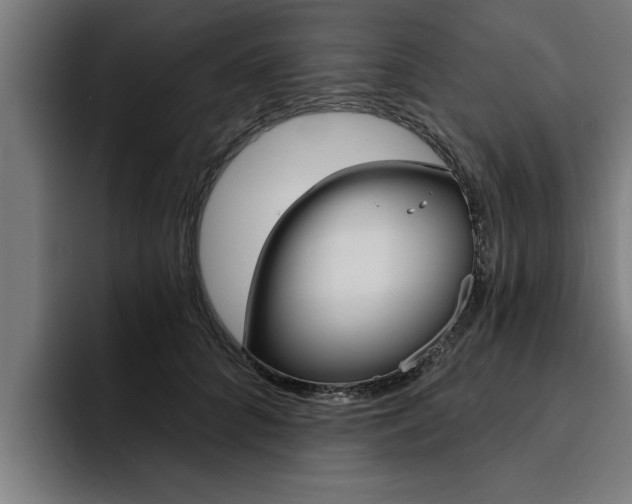 X0000094420704200711080959