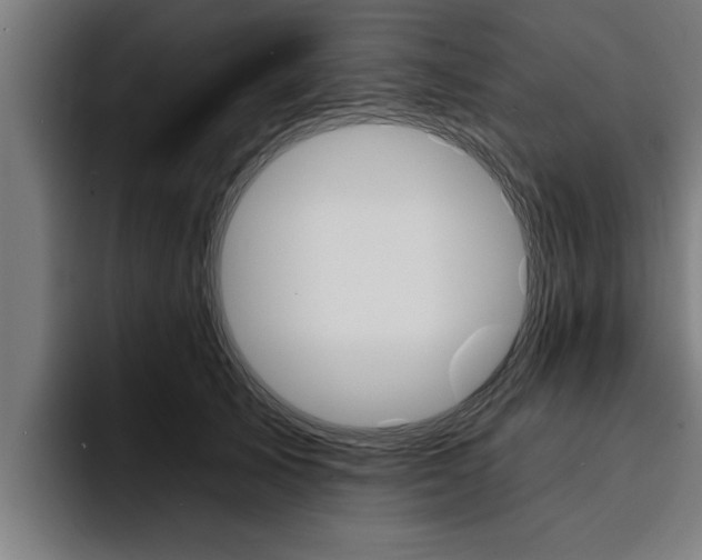 X0000094420705200711080959