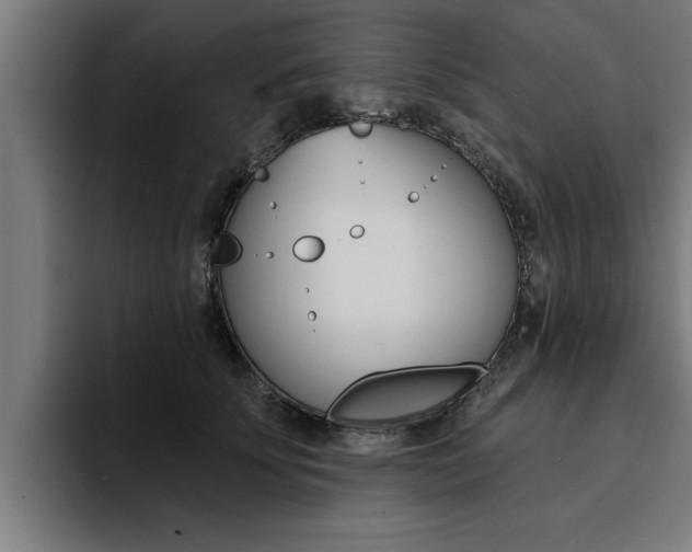 X0000094420707200711080959