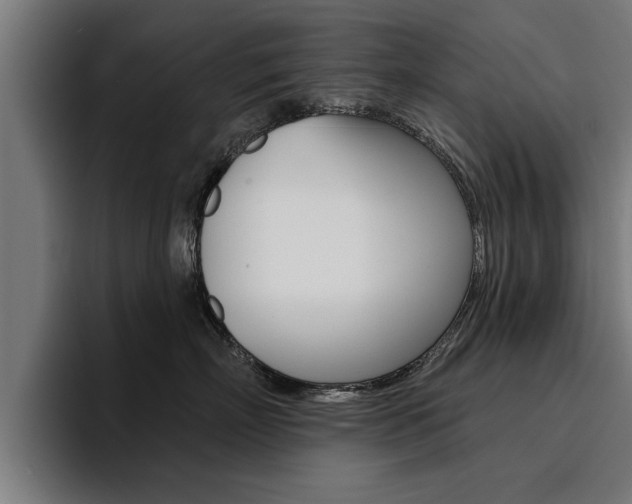 X0000094420718200711080959