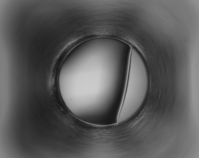 X0000094420723200711080958