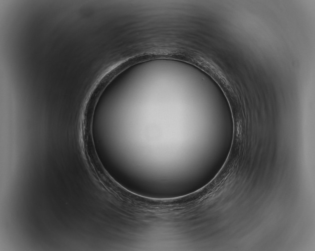 X0000094420724200711080958