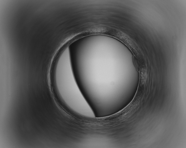 X0000094420726200711080958