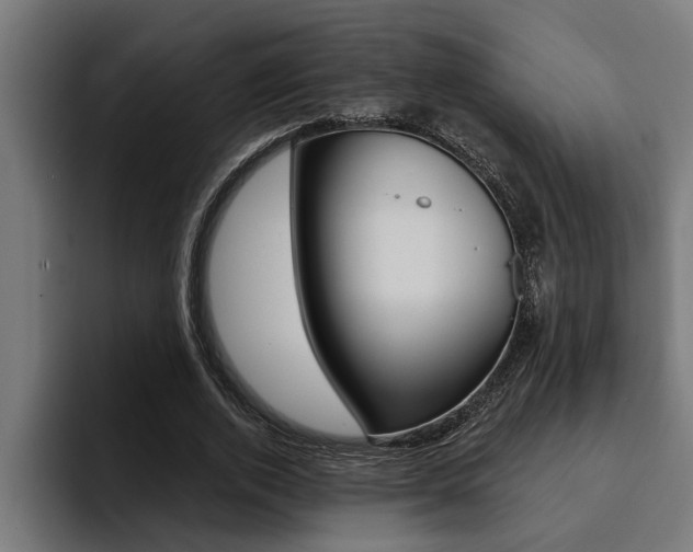 X0000094420728200711080958