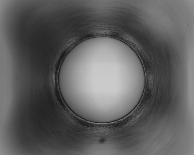 X0000094420729200711080958