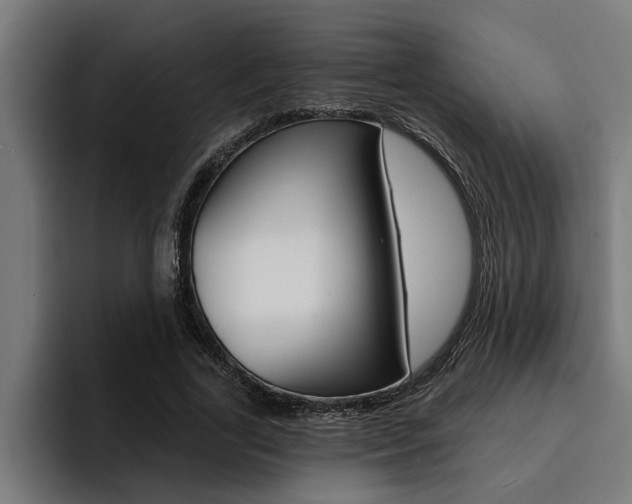 X0000094420731200711080958