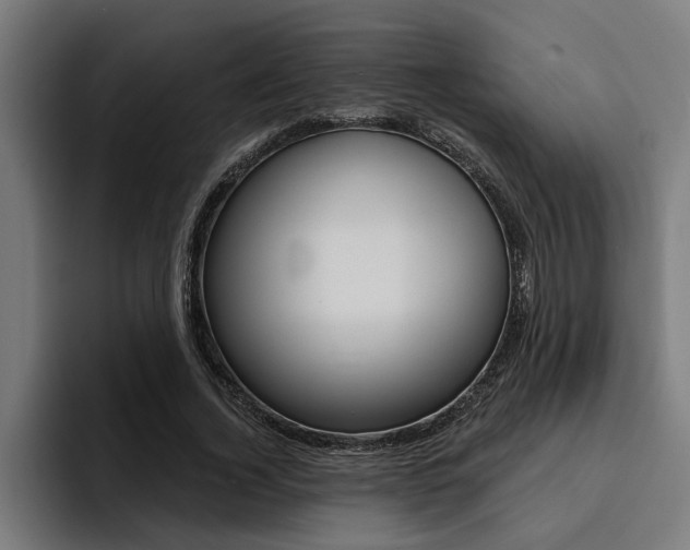 X0000094420732200711080958