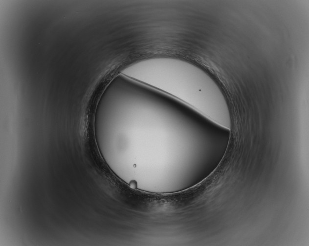 X0000094420735200711080958