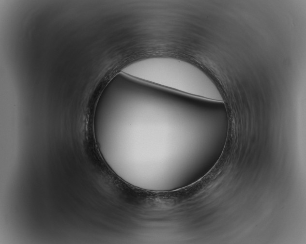 X0000094420739200711080958
