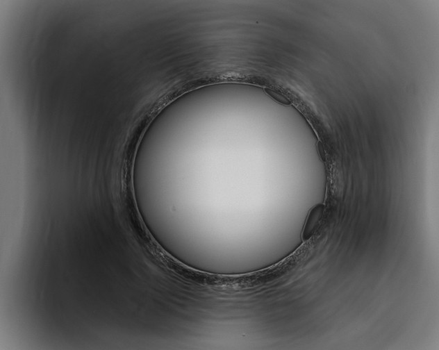 X0000094420740200711080958