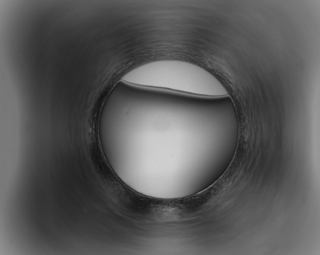 X0000094420743200711080958