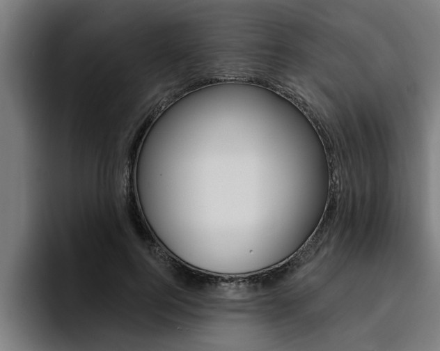 X0000094420744200711080958
