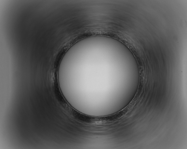 X0000094420746200711080958