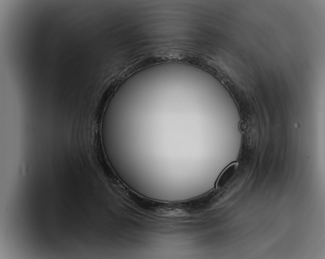 X0000094420747200711080958