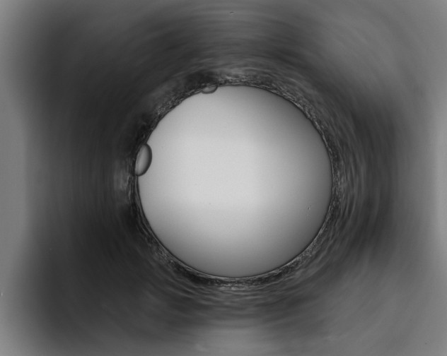 X0000094420749200711080958