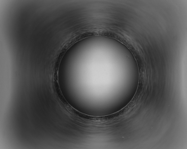 X0000094420750200711080958