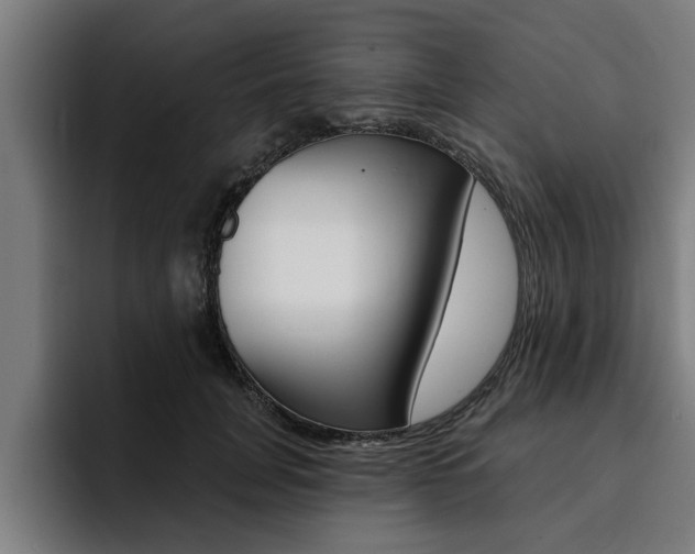X0000094420751200711080958