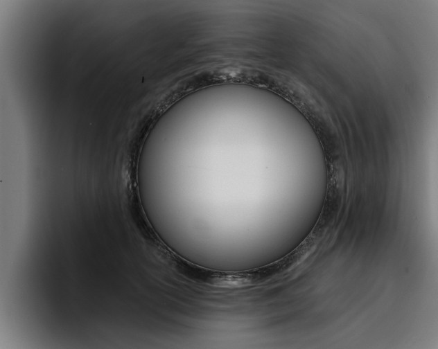 X0000094420754200711080958