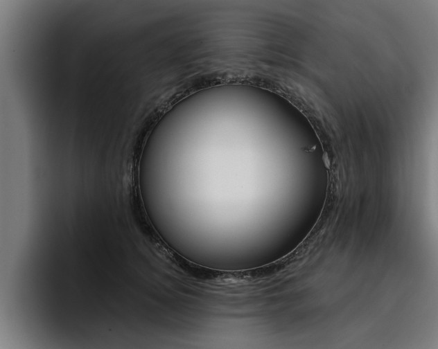 X0000094420756200711080958