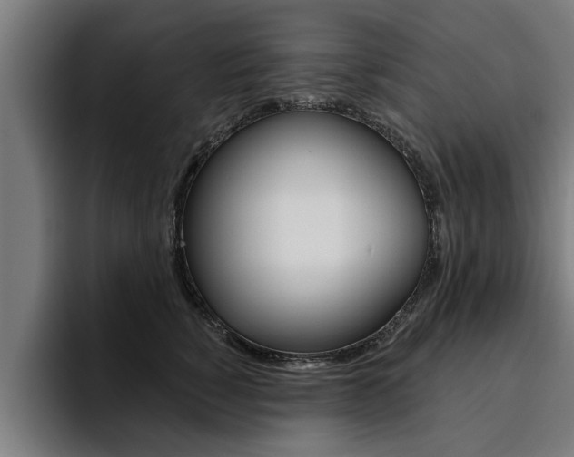 X0000094420760200711080958