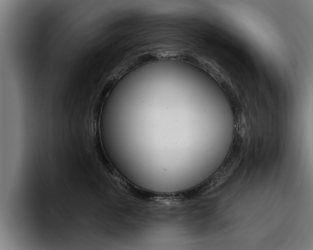 X0000094420763200711080958
