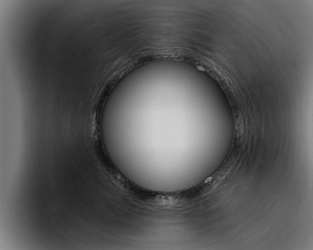 X0000094420764200711080958