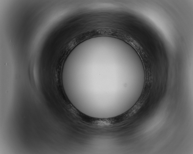 X0000094420765200711080958