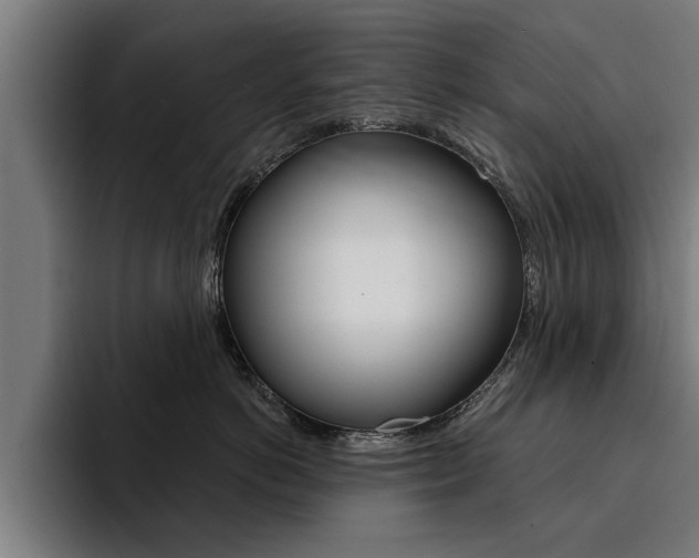 X0000094420766200711080959