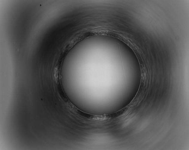 X0000094420767200711080959