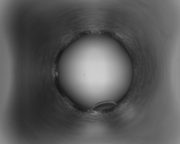 X0000094420768200711080959