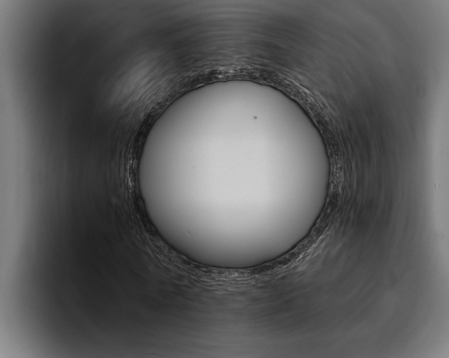 X0000094420770200711080958