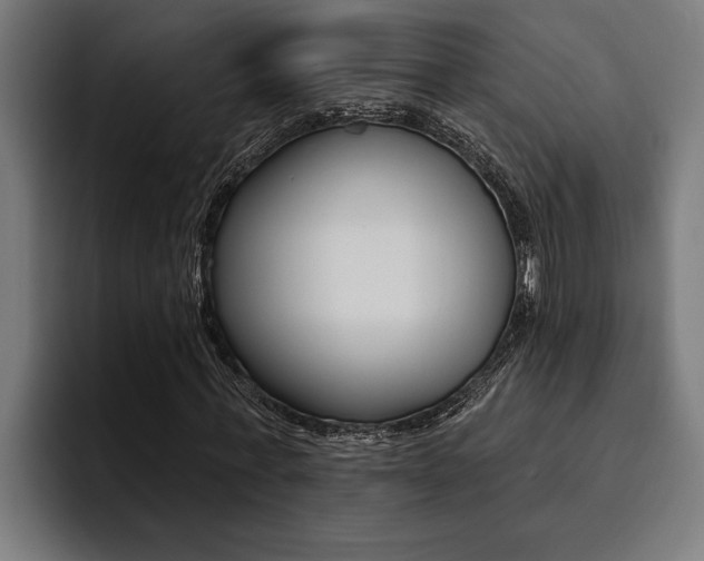 X0000094420771200711080958