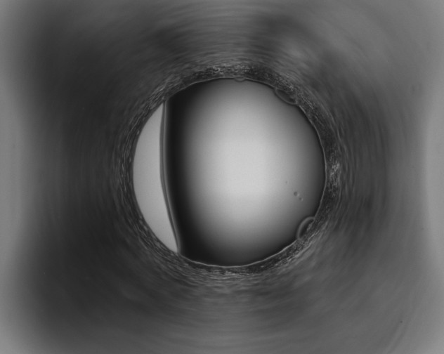 X0000094420772200711080958