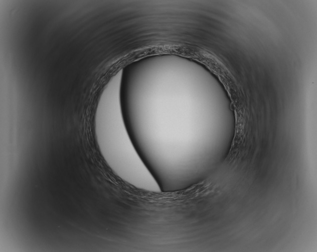 X0000094420773200711080958