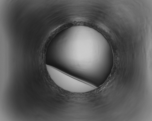 X0000094420775200711080958